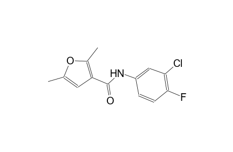 N-(3-chloro-4-fluorophenyl)-2,5-dimethyl-3-furamide