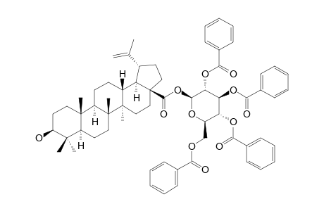 28-O-2,3,4,6-TETRA-O-BENZOYL-BETA-D-GLUCOPYRANOSYLBETULINIC_ACID