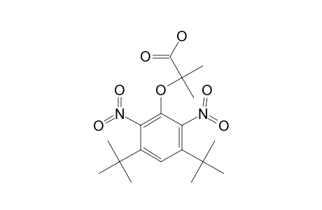 ALPHA-(3,5-DI-TERT.-BUTYL-2,6-DINITROPHENOXY)-ISOBUTYRIC-ACID