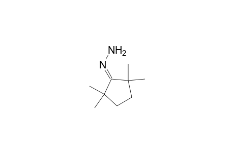 2,2,5,5-Tetramethylcyclopentanone-hydrazone