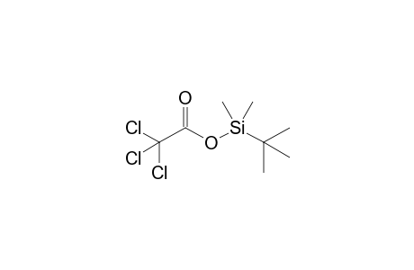 tert-Butyldimethylsilyl trichloroacetate