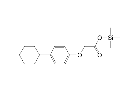 (4-Cyclohexylphenoxy)acetic acid, tms derivative