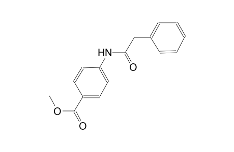 methyl 4-[(phenylacetyl)amino]benzoate