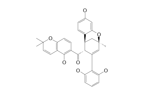 Sorocenol B