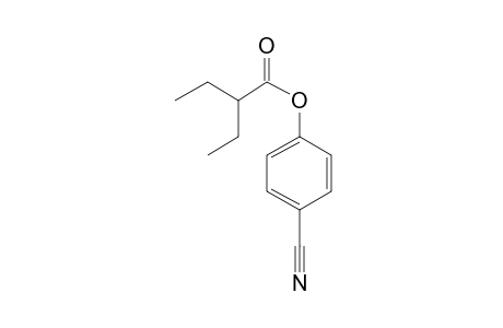 2-Ethylbutyric acid, 4-cyanophenyl ester