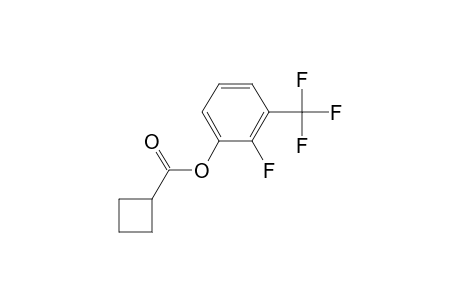 Cyclobutanecarboxylic acid, 2-fluoro-3-trifluoromethylphenyl ester