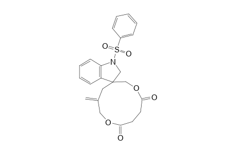 Spiro[3-Methylene-1,7-dioxacycloundeca-8,11-dione5,3'-1'-(phenylsulfonyl)-2,3-dihydroindole]