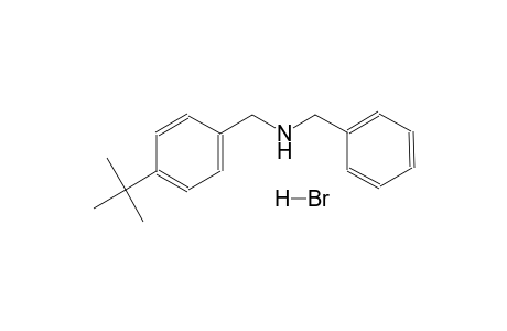 N-benzyl-1-(4-(tert-butyl)phenyl)methanamine hydrobromide