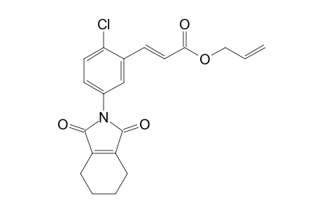 2-Propenoic acid, 3-[2-chloro-5-(1,3,4,5,6,7-hexahydro-1,3-dioxo-2H-isoindol-2-yl)phenyl]-, 2-propenyl ester