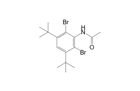 2',6'-dibromo-3',5'-di-tert-butylacetanilide