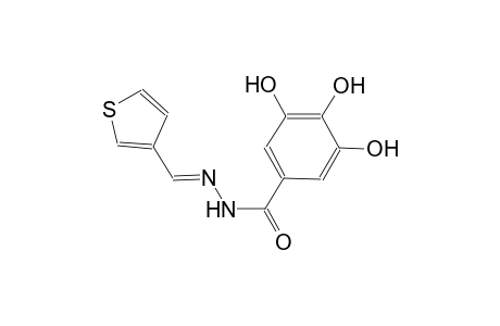 3,4,5-trihydroxy-N'-[(E)-3-thienylmethylidene]benzohydrazide