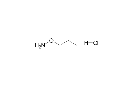 Hydroxylamine, o-propyl-, hydrochloride
