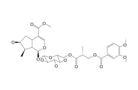 6'-[2(R)-METHYL-3-VERATROYLOXYPROPANOYL]-LOGANIN