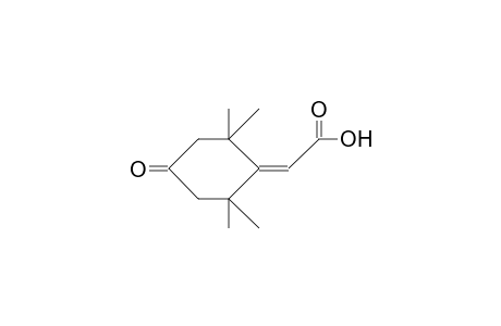4-Oxo-2,2,6,6-tetramethyl-cyclohexylidene-acetic acid