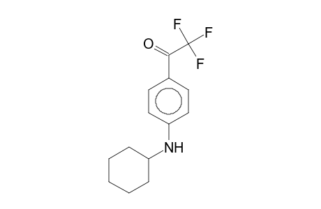 1-(4-Cyclohexylamino-phenyl)-2,2,2-trifluoro-ethanone