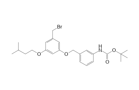 3-(3'-N-BOC-aminobenzyloxy)-5-i-pentyloxybenzyl bromide