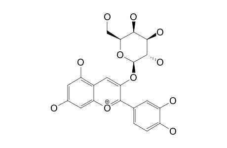 CYANIDIN-3-O-BETA-GALACTOPYRANOSIDE