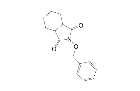 2-(Benzyloxy)hexahydro-1H-isoindole-1,3(2H)-dione