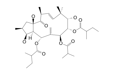 (2S,3S,4R,5R,7S,8S,9S,11E,13S,15R)-3,5,7,8,9,15-HEXAHYDROXYJATROPHA-6(17),11-DIEN-14-ONE-5,8-BIS-(2-METHYLBUTYRATE)-7-(2-METHYLPROPIONATE)