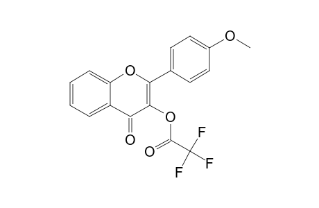 4'-Methoxyflavonol, trifluoroacetate