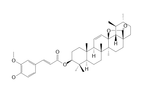 TERETICORNATE A