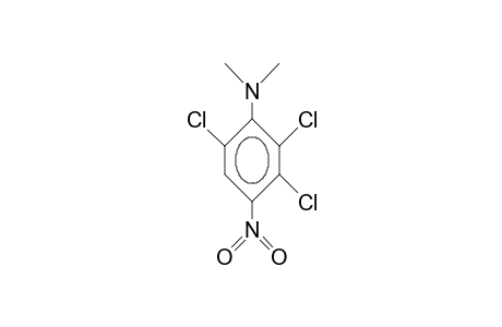 2,3,6-Trichloro-N,N-dimethyl-4-nitro-aniline