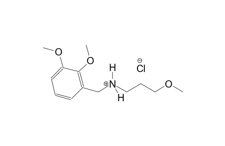 benzenemethanaminium, 2,3-dimethoxy-N-(3-methoxypropyl)-, chloride