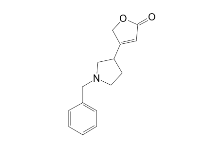 4-(N-BENZYLPYRROLIDIN-3-YL)-FURAN-2(5H)-ONE