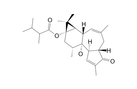 4,12,20-TRIDEOXYPHORBOL-13-(2,3-DIMETHYL)-BUTYRATE