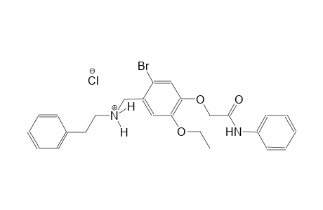 N-[4-(2-anilino-2-oxoethoxy)-2-bromo-5-ethoxybenzyl]-2-phenylethanaminium chloride