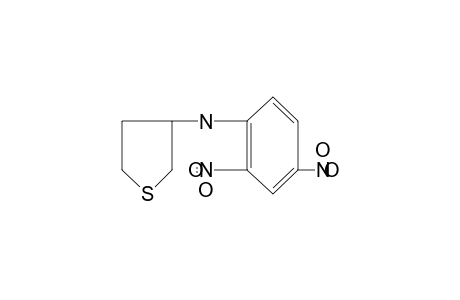 3-(2,4-dinitroanilino)tetrahydrothiophene