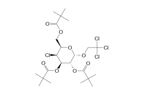 2,2,2-TRICHLOROETHYL-4-CHLORO-4-DEOXY-2,3,6-TRI-O-PIVALOYL-ALPHA-D-GALACTOPYRANOSIDE