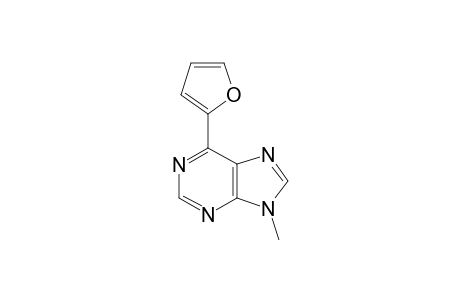 6-(2-FURYL)-9-METHYL-9H-PURINE