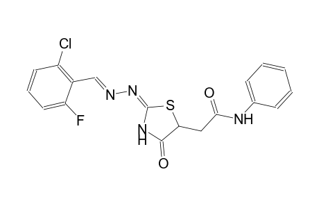 2-{(2E)-2-[(2E)-2-(2-chloro-6-fluorobenzylidene)hydrazono]-4-oxo-1,3-thiazolidin-5-yl}-N-phenylacetamide