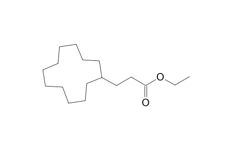 Ethyl 3-Cyclododecylpropanoate