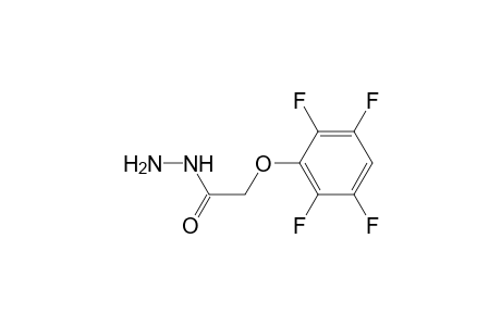2-(2,3,5,6-Tetrafluorophenoxy)acetohydrazide