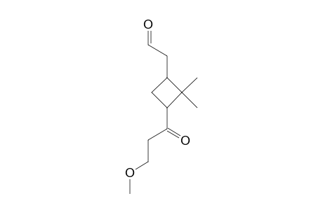 3-[(3-METHOXY-1-OXOPROPYL)-2,2-DIMETHYLCYCLOBUTYL]-ETHANOL