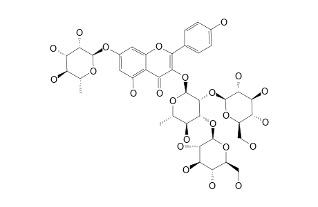 TERNATUMOSIDE-VIII;KAEMPFEROL-3-O-(2,3-DI-O-BETA-D-GLUCOPYRANOSYL)-ALPHA-L-RHAMNOPYRANOSYL-7-O-ALPHA-L-RHAMNOPYRANOSIDE