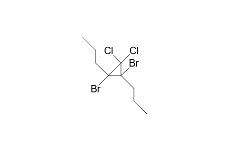 2,3-Dibromo-1,1-dichloro-2,3-dipropyl-cyclopropane