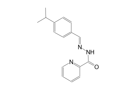 N'-[(E)-(4-isopropylphenyl)methylidene]-2-pyridinecarbohydrazide