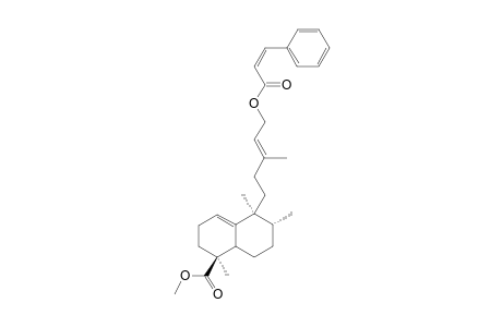 METHYL-15-Z-CINNAMOYLOXY-1(10)-13E-ENT-HALIMADIEN-18-OATE