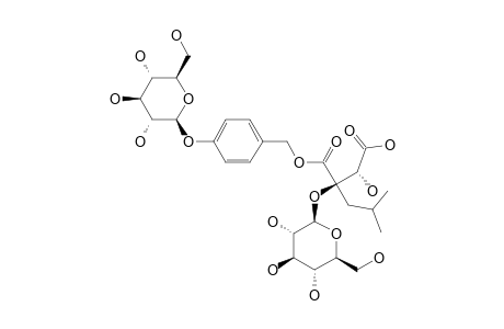 DACTYLORHIN-D;(2R,3S)-2-BETA-D-GLUCOPYRANOSYLOXY-3-HYDROXY-2-(2-METHYLPROPYL)-BUTANEDIOIC-ACID-1-(4-BETA-D-GLUCOPYRANOSYLOXYBENZYL)-ESTER