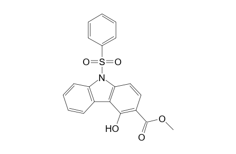Methyl 9-phenylsulfonyl-4-hydroxycarbazole-3-carboxylate