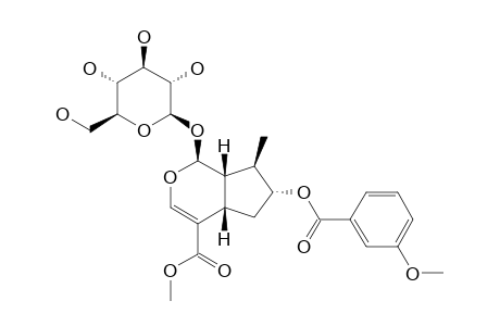 7-EPI-O-(META-METHOXYBENZOYL)-LOGANIN