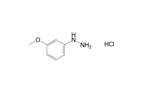 (m-methoxyphenyl)hydrazine, hydrochloride