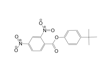 4-tert-butylphenyl 2,4-dinitrobenzoate