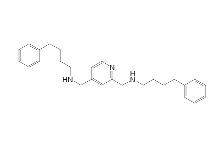 N,N'-Bis-(4-phenylbutyl)-pyridin-2,4-dimethanamine