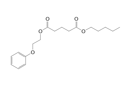 Glutaric acid, pentyl 2-phenoxyethyl ester