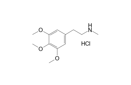 N-Methylmescaline HCl