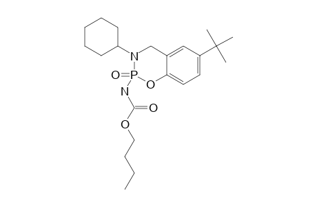2-BUTYLCARBAMATO-6-(1,1-DIMETHYLETHYL)-3-CYCLOHEXYL-3,4-DIHYDRO-2H-1,3,2-BENZOXAZAPHOSPHORINE-2-OXIDE
